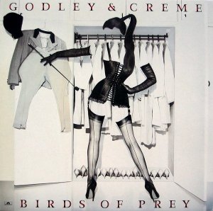 Godley & Creme - Birds Of Prey (LP)