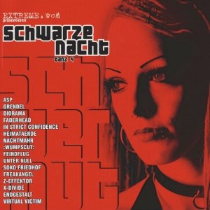 Schwarze Nacht Tanz 4 (CD)