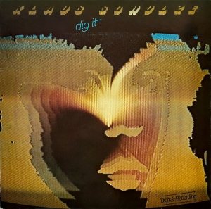 Klaus Schulze - Dig It (LP)