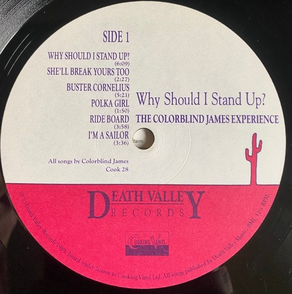 The Colorblind James Experience - Why Should I Stand Up? (LP)