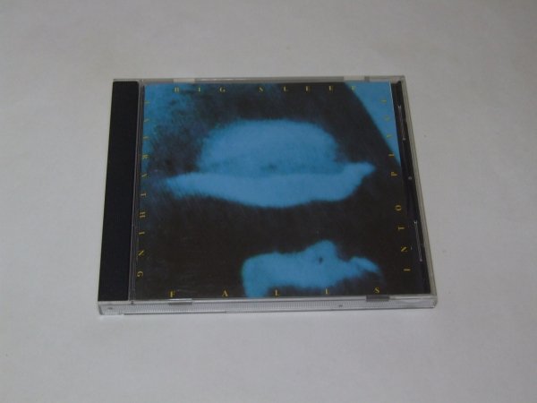 Big Sleep - Everything Falls Into Place (CD)