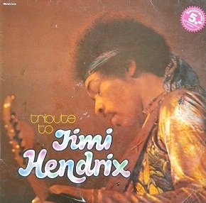 The Live Experience Band - Tribute To Jimi Hendrix (LP)