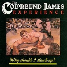 The Colorblind James Experience - Why Should I Stand Up? (LP)