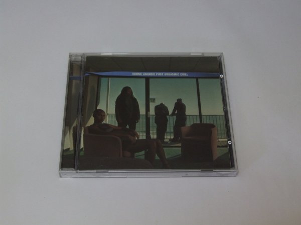 Skunk Anansie - Post Orgasmic Chill (CD)