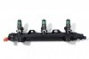 _Listwa wtryskowa VW Polo 9N 2001-2009 1.2i 12V