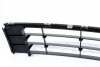 atrapa - grill - vw - phaeton - zdjęcie 5