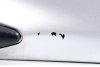 _Listwa klapy Nissan Micra K11 2000-2002