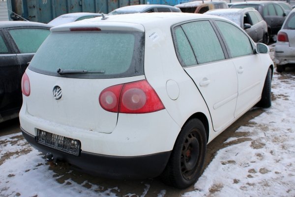 VW Golf V 1K 2004 2.0TDI BKD Hatchback 5-drzwi [B/C]