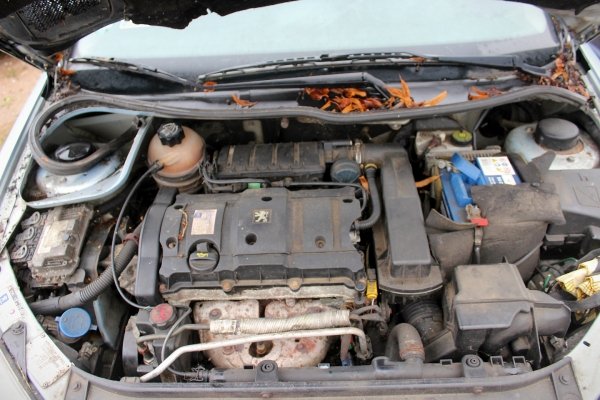 Peugeot 206 2006 1.6i NFU Hatchback 5-drzwi [B/C]