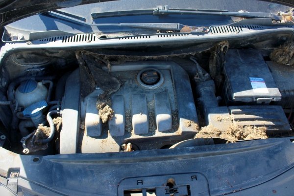 Szyba drzwi przesuwnych tył lewa VW Caddy 2K 2005 1.9TDI BJB Kombivan