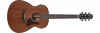 Ibanez AAM740E-LG Platinum Collection