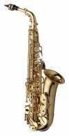 Yanagisawa A-W010 