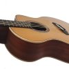 Dowina Master Granadillo GACE gitara elektro-akustyczna