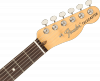 Fender American Performer Telecaster RW HBST