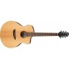 Ibanez PA230E-NSL Natural Low Gloss 