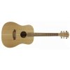 Cole Clark FL1-SSO