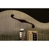 PRS 2017 SE Zach Myers Trampas Green - gitara elektryczna