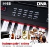 DNA PP 88 pianino cyfrowe pełnowymiarowe keyboard