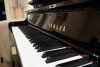 Yamaha YUS5 PE