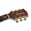 Richwood D-70 VA gitara akustyczna