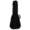 Ritter Arosa RGA5-L/SBK Sea Ground Black Gigbag na gitarę Les Paul