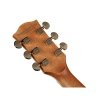 Richwood D-70 VA gitara akustyczna