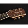Richwood D-70-CEVA Master Series gitara elektro-akustyczna