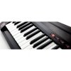 Korg RK-100S 2 BK syntezator - keytar