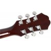 Epiphone PR-4E Acoustic/Electric Player Pack
