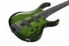 Ibanez SDGB1-DMT Steve Di Giorgio Signature fretless Dark Moss Burst