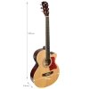 V-TONE EAG SET NT gitara elektroakustyczna + wzmacniacz gitarowy