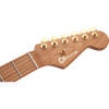 Charvel Pro-Mod DK24 HSH 2PT CM Mahogany Caramelized Maple Fingerboard Natural