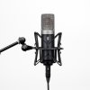 Slate Digital VMS ML-1A Modeling Microphone