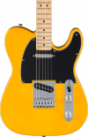 Fender Standard Telecaster Maple Fingerboard Black Pickguard Butterscotch Blonde