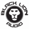 Black Lion Audio