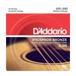 D'Addario EJ39 - Phosphor Bronze 12-String 12-52