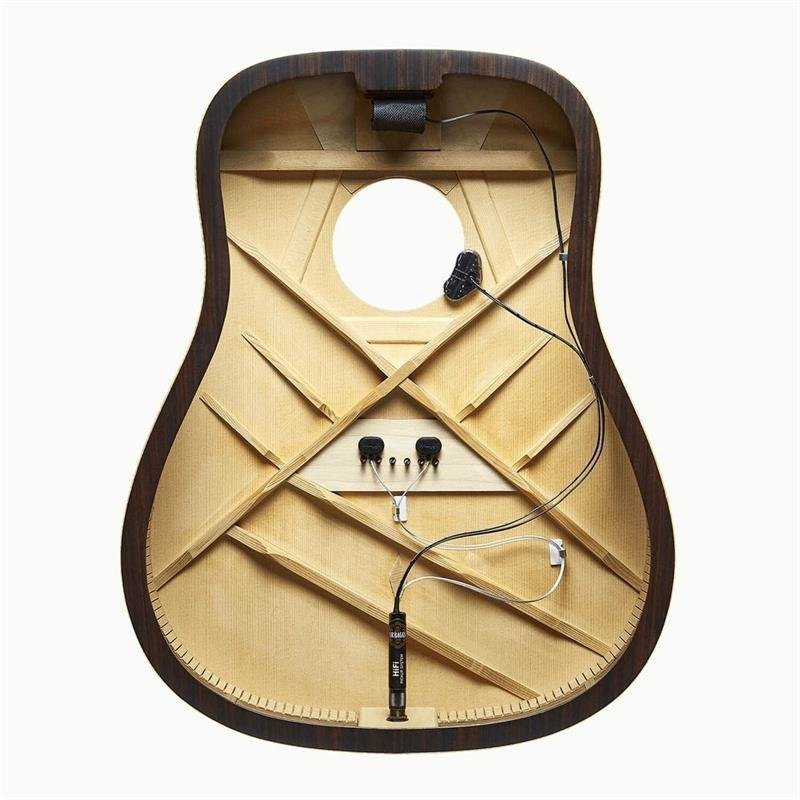LR Baggs HiFi