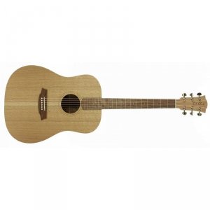 Cole Clark FL1-SSO