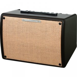 Ibanez Troubadour T30 II Wzmacniacz Akustyczny 30W