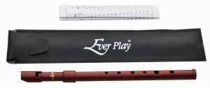 Ever Play SI-922W flażolet strój D kolor imitujący drewno etui tabela chwytów