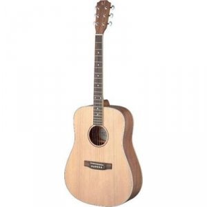 James Neligan ASY-D LH - gitara akustyczna leworęczna