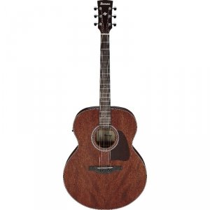 Ibanez AJ54E-OPN Open Pore Natural Artwood gitara elektro-akustyczna