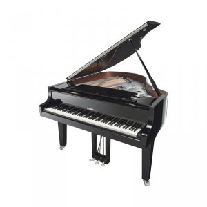Yamaha C2X PEC