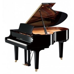 Yamaha C3X TA2 PE