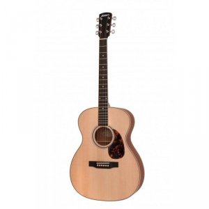 Larrivee OM-03E