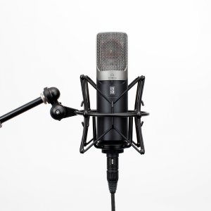 Slate Digital VMS ML-1A Modeling Microphone