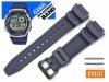 CASIO AE-1000W-2AV oryginalny pasek 18 mm 10515884