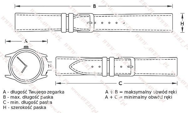 CASIO MRW-210H-1AV oryginalny pasek 20 mm