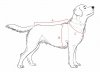 ANIMAL DESIGN Derka DP czarno-krem roz. 08 42cm