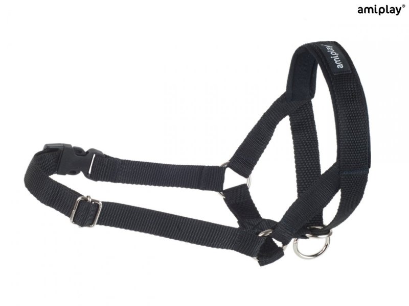 AMI PLAY Basic Halter XXL N6 Deutsche Dogger czarny